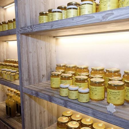 Agriturismo Due Comuni San Gervasio Ngoại thất bức ảnh
